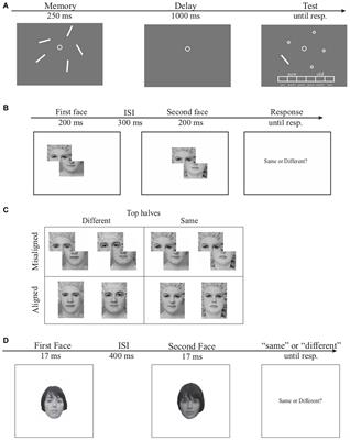 Composite Face Effect Predicts Configural Encoding in Visual Short-Term Memory